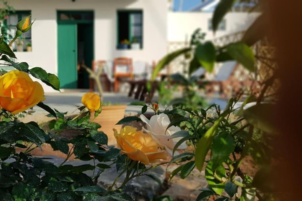 Erofili Cottage House Elounda Exteriér fotografie