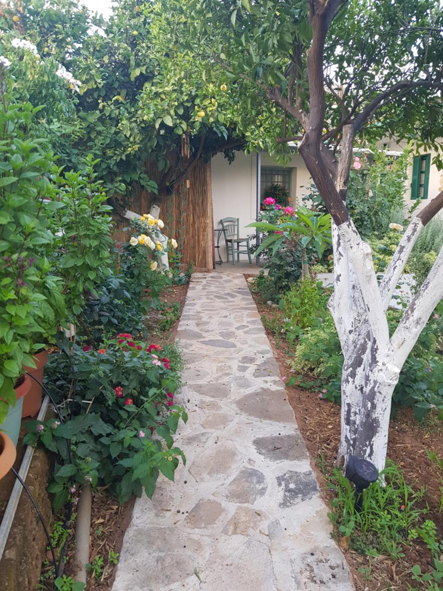 Erofili Cottage House Elounda Exteriér fotografie